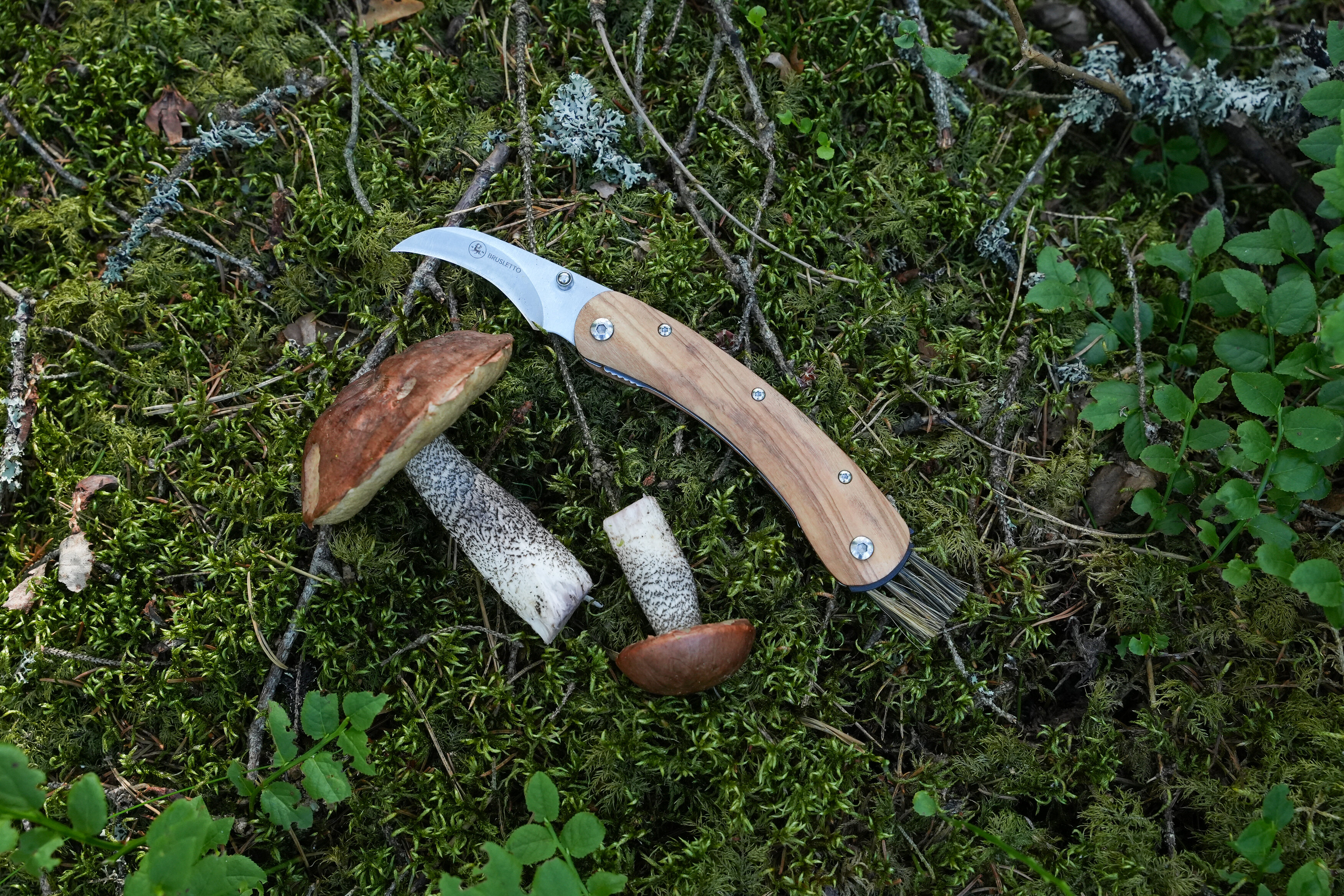 https://www.brusletto.no/pub_docs/files/DSC03864.JPG